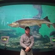 ���������� �����������, ���� ������� ���, 27 ���, ������������ ��� ������, ����� � ���������, c�������� ���������