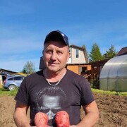  ,   , 63 ,   