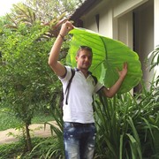  ,   Thomasyork, 41 ,   ,   , c 