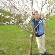 ���������� �����-���������, ���� ������� ����, 44 ����, ������������ ��� ������, ����� � ���������, c�������� ���������, ���������