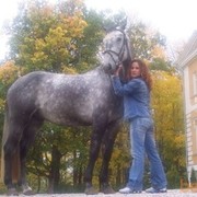  ,   , 43 ,   