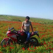  -,   , 31 ,   ,   