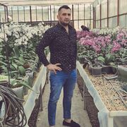  ,   , 44 ,   ,   , c 