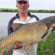  ,   , 55 ,     , c 