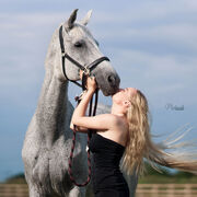 ���������� �����-���������, ���� ������� �����, 21 ���, ������������ ��� ����� � ���������, c�������� ���������