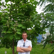 ���������� ��������, ���� ������� �����, 46 ���, ������������ ��� ������