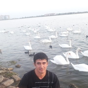  ,   Rasif, 42 ,   ,   , c 