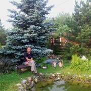 ���������� �����, ���� ������� ����, 50 ���, ������������ ��� ������, ����� � ���������, c�������� ���������