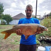 ���������� ���������, ���� ������� �������, 42 ����, ������������ ��� ������, ����� � ���������, c�������� ���������