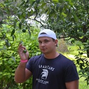 ���������� ������������, ���� ������� ������, 42 ����, ������������ ��� ������, ����� � ���������