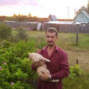 ���������� �����, ���� ������� �����, 48 ���, ������������ ��� ������, ����� � ���������, c�������� ���������, ���������