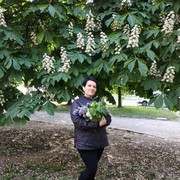  Warszawa,   Olesia, 53 ,   ,   , c 
