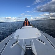 ���������� �����, ���� ������� �����, 29 ���, ������������ ��� ������, ����� � ���������, c�������� ���������, ���������