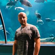 ���������� ���������� �����, ������� �����, 38