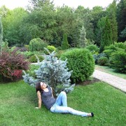 ���������� ��������������, ���� ������� �����, 51 ���, ������������ ��� ����� � ���������, c�������� ���������