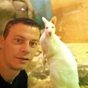 ���������� �����-���������, ���� ������� ������, 42 ����, ������������ ��� ������, ����� � ���������, c�������� ���������