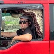 ���������� �����, ���� ������� ���������, 27 ���, ������������ ��� ������, ����� � ���������