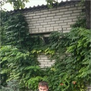 ���������� �����, ���� ������� �����, 52 ����, ������������ ��� ������, ����� � ���������, c�������� ���������