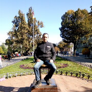  -,   , 43 ,   , 