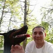 ���������� ���������, ���� ������� ����, 50 ���, ������������ ��� c�������� ���������