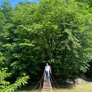 ���������� ������, ���� ������� ������, 43 ����, ������������ ��� ������, ����� � ���������