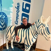 ���������� ������, ���� ������� ����, 48 ���, ������������ ��� ������, ����� � ���������, c�������� ���������