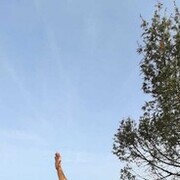 ���������� �����������, ���� ������� �������, 35 ���, ������������ ��� ������, ����� � ���������