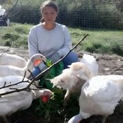 ���������� ������, ���� ������� ���, 38 ���, ������������ ��� ������, ����� � ���������, c�������� ���������, ���������