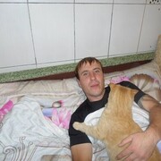 ���������� �����������, ���� ������� ����������, 40 ���, ������������ ��� ���������