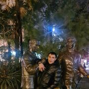  ,   Alkopona, 87 ,   ,   