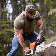 ���������� ���������, ���� ������� �������, 38 ���, ������������ ��� ������, ����� � ���������, c�������� ���������, ���������