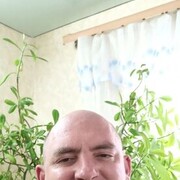 ���������� �������, ���� ������� ��������, 43 ����, ������������ ��� c�������� ���������, ���������