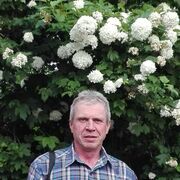 �� ��������.