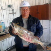  ,   , 58 ,   