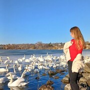 ���������� �������, Lena