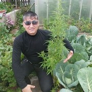  -,   , 50 ,   ,   , c , 