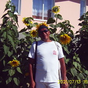  ,   Medved, 58 ,   ,   , c 