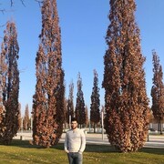 ���������� ���������, ���� ����� ����, 25 ���, ������������ ��� ������, ����� � ���������