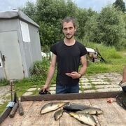 ���������� ������, ���� ������� ���������, 31 ���, ������������ ��� ������, ����� � ���������, c�������� ���������, ���������