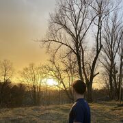  ,   Gheorghe, 21 ,   ,   