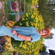  ,   , 66 ,   ,   