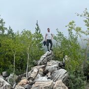  ,   , 31 ,   ,   , c , 