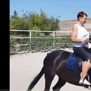  ,   , 54 ,   