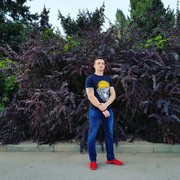 ���������� �������, ���� ������� �������, 37 ���, ������������ ��� ������, ����� � ���������, c�������� ���������