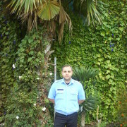 ���������� ����, ���� ������� Emil, 43 ����, ������������ ��� ������