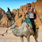 ���������� ������, ���� ������� ���������, 49 ���, ������������ ��� ������