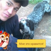  ,    , 29 ,   