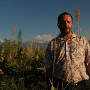 ���������� ������, ���� ������� �������, 53 ����, ������������ ��� ������, ����� � ���������, c�������� ���������