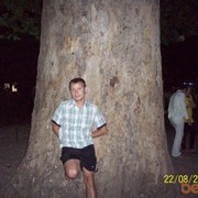  ,   , 38 ,   
