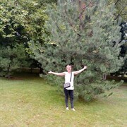 ���������� �����������, ���� ������� �����, 41 ���, ������������ ��� ������, ����� � ���������